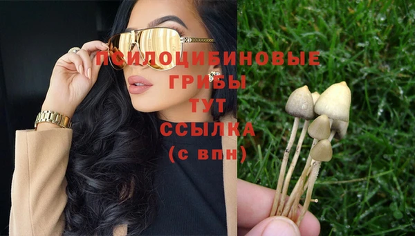 ешки Елабуга