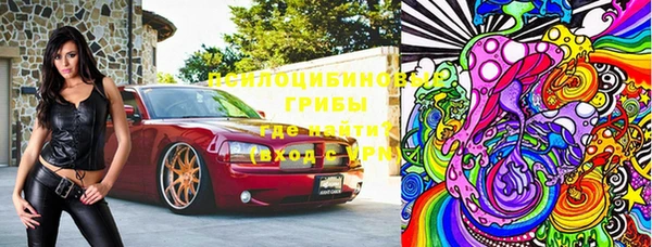 ешки Елабуга